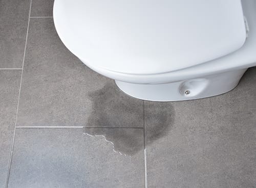 Cracked Toilet Troubles: A Perth Homeowner’s Guide to Cistern and Bowl Repairs