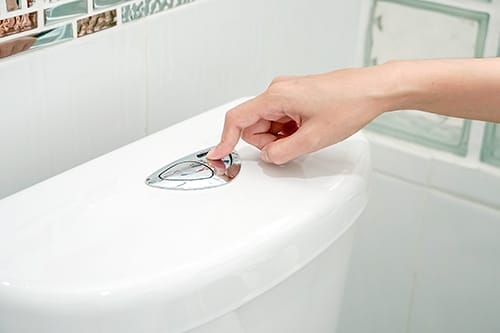 Mastering Toilet Flush Valve Repairs: A Perth Homeowner’s Guide