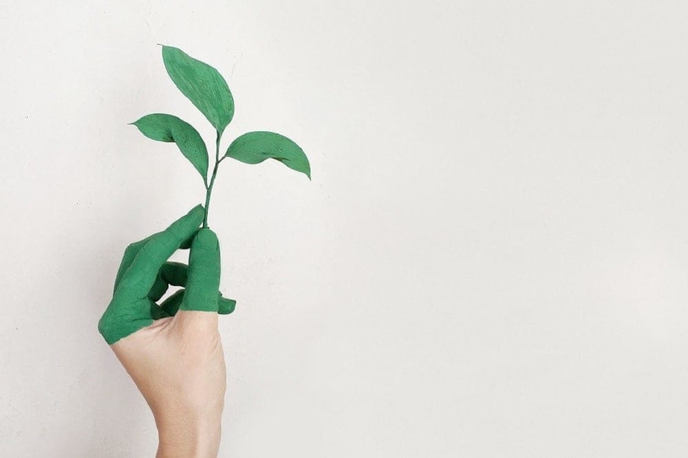 7 ways to make your home environmentally friendly